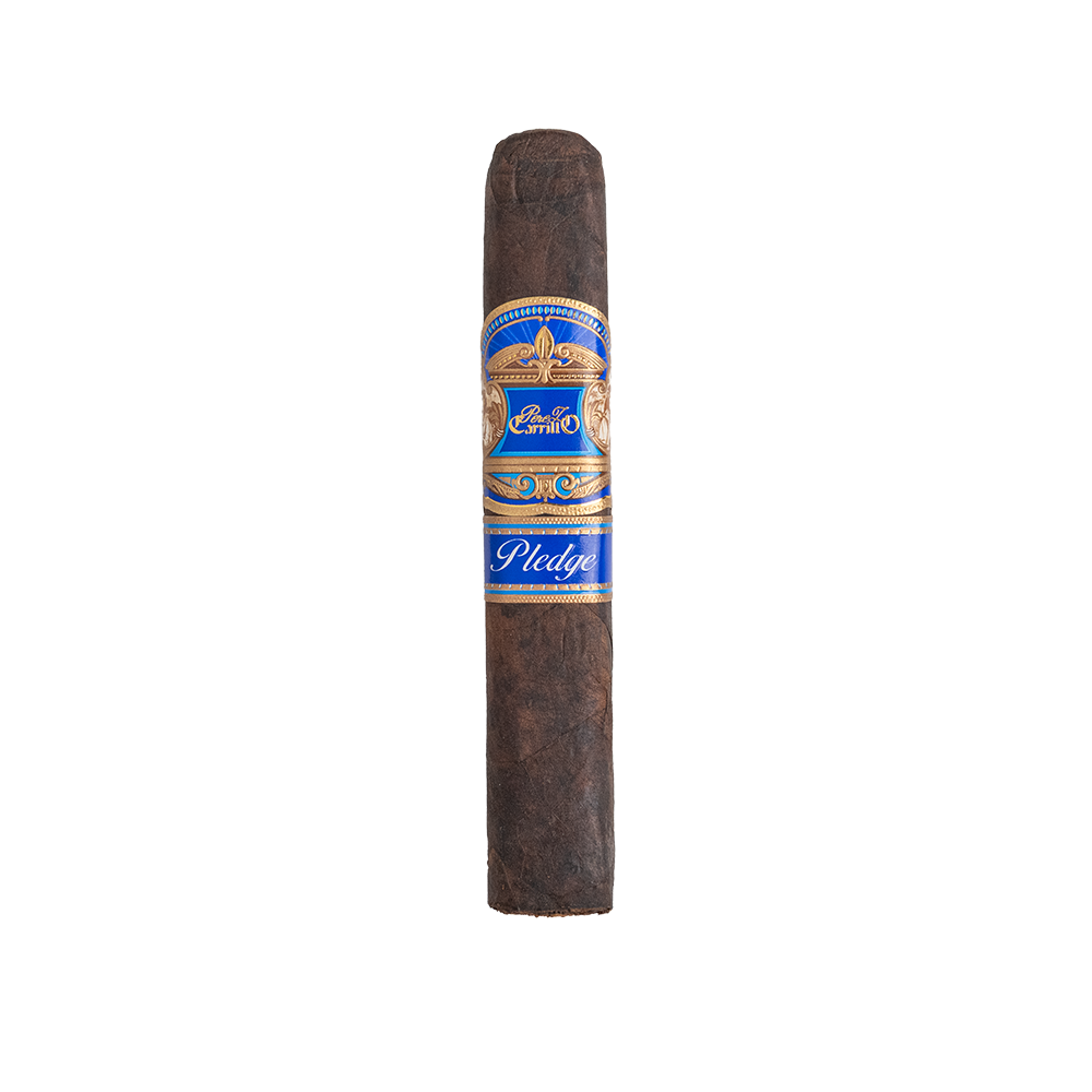 Casa Carrillo Pledge Prequel