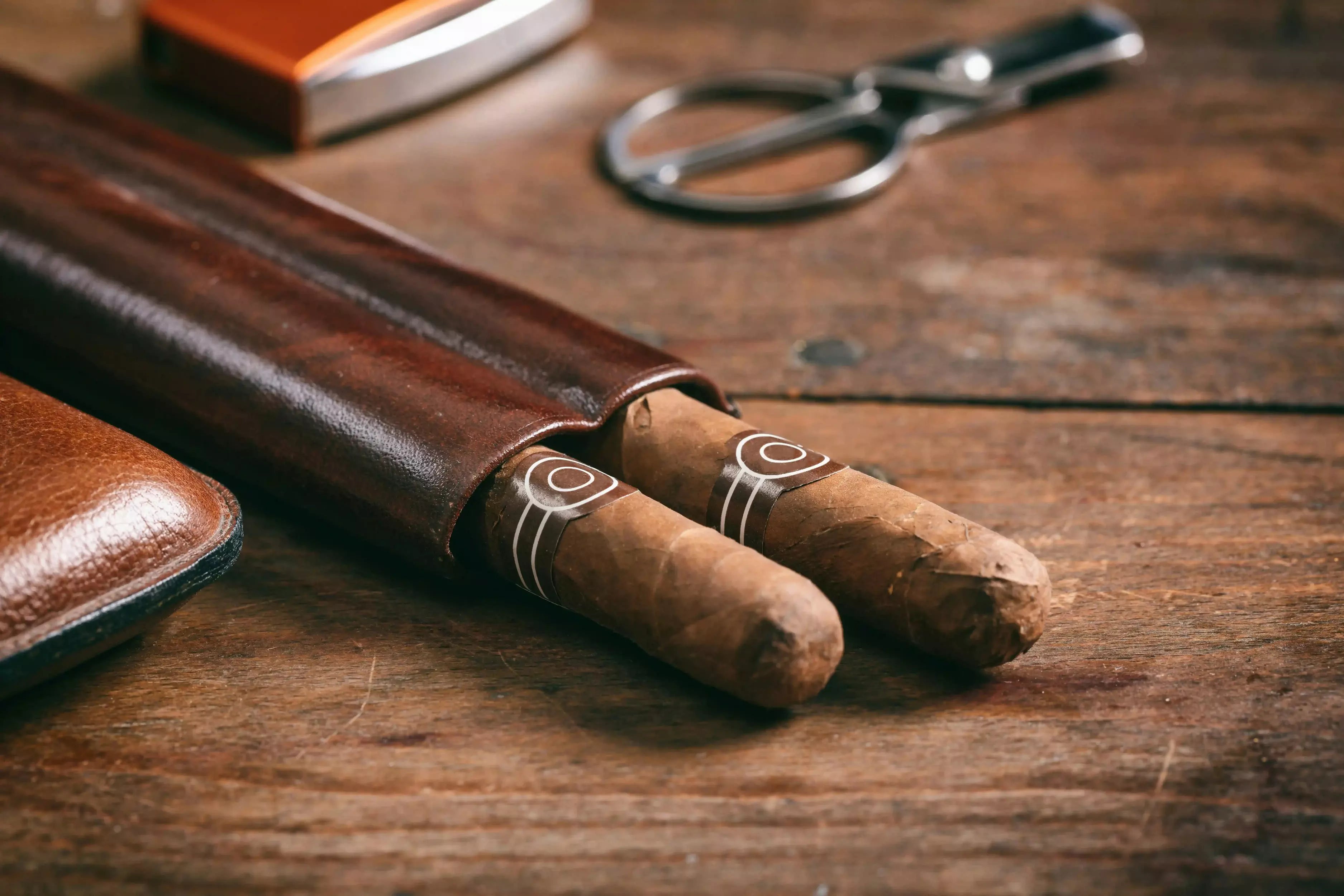 Exploring Backwoods Cigars - A Rustic Choice for Casual Smokers