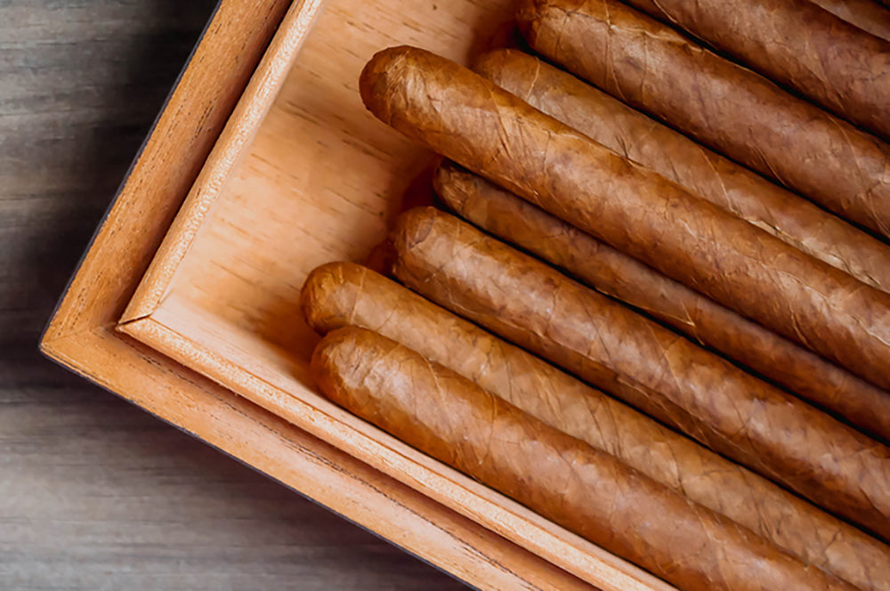 Find Premium Cigars Near Toronto | Local Cigar Shops