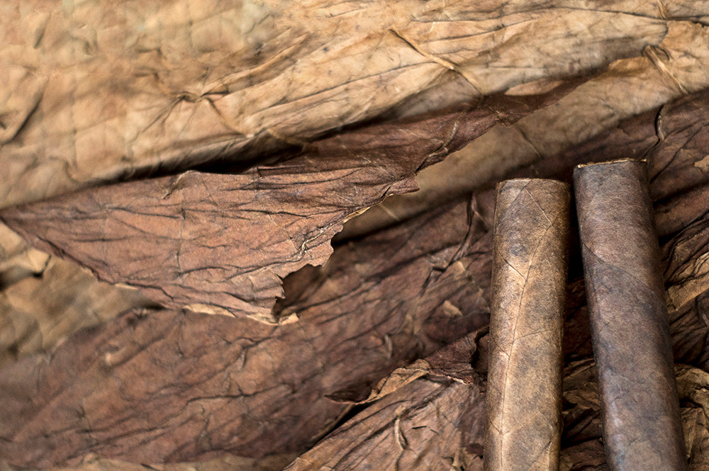 Exploring Backwoods Cigars - A Rustic Choice for Casual Smokers