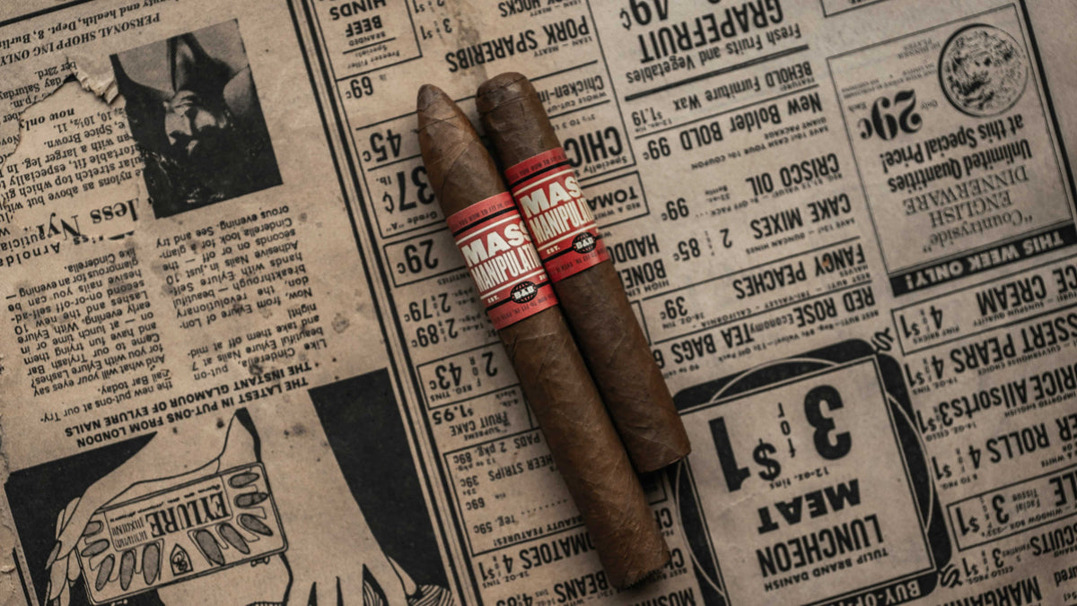 Cigar 3rd Explained What Are Cigars Made Of? Tobacco Blends Explained