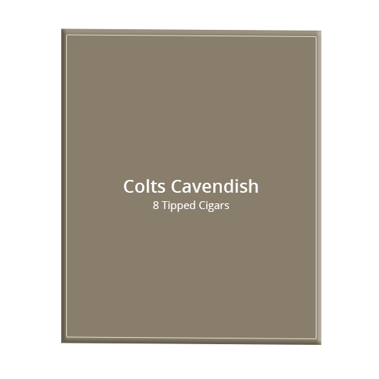 Colts Cavendish - 8 Pack